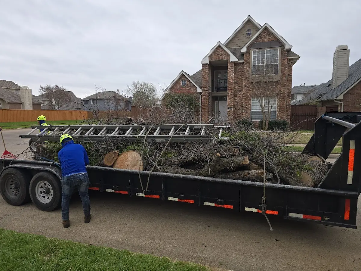 Expert Tree Fertilization with proper safety equipment in Longview